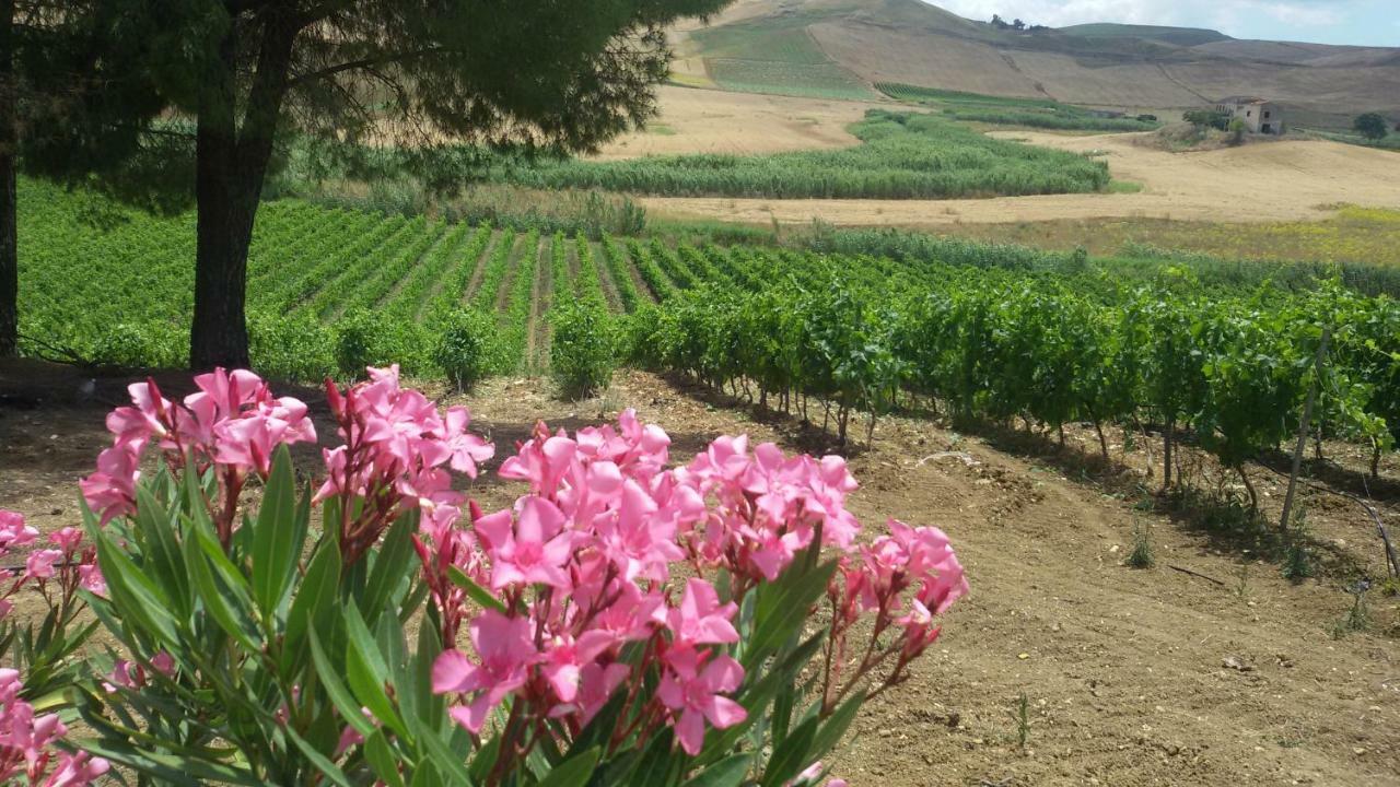 Terre Di Gratia Bed and Breakfast Camporeale Εξωτερικό φωτογραφία
